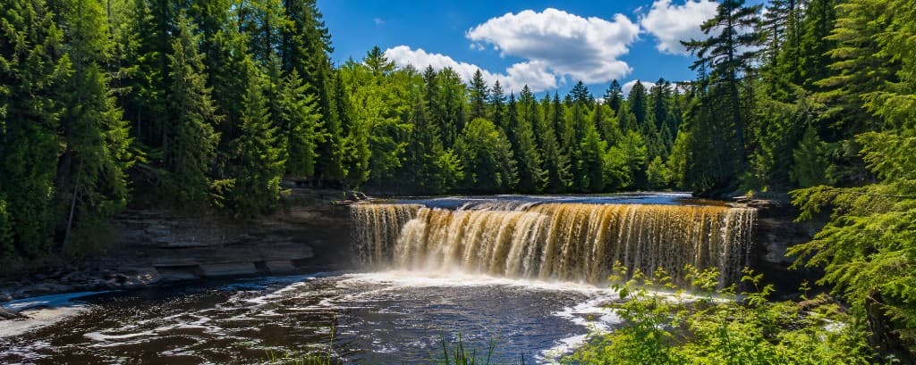 Tahquamenon Falls waterfall surrounded by forest